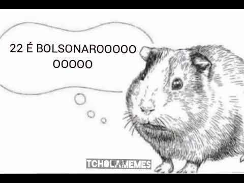 VOTA! VOTA! E CONFIRMA 22 É BOLSONARO!