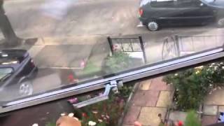 Vlog:ep2 Epic dog tragedy fight!!