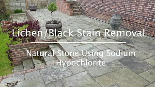 Sandstone Patio Cleaning - Lichen & Black Stain Removal on Indian Sandstone