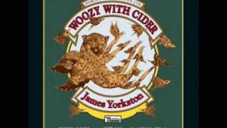 James Yorkston-Woozy with cider (Jon Hopkins remix)