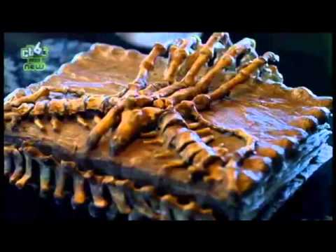 ヤング・ドラキュラ - BBCシリーズ - シーズン3 Ep 11 "Hit Chicks" (Young Dracula - BBC Series - Season 3 Ep 11 "Hit Chicks")