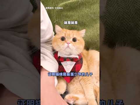 【魚蛋的日常】大家說哪個才是魚蛋的兒子啊？