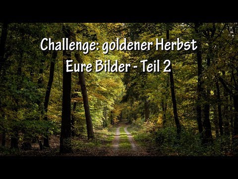 Goldener Herbst - Eure Bilder Teil 2