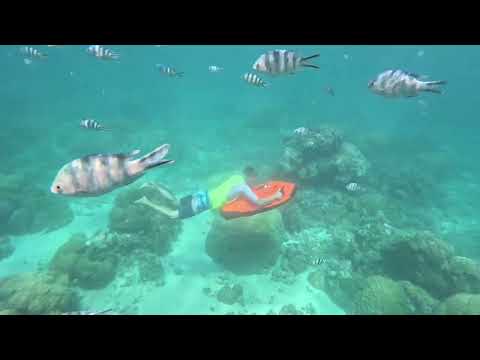 Miniature de la vidéo : Voler sous l’eau à deux