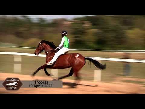 Corse di Addestramento 2022 - Monticiano martedi 19 Aprile 2022