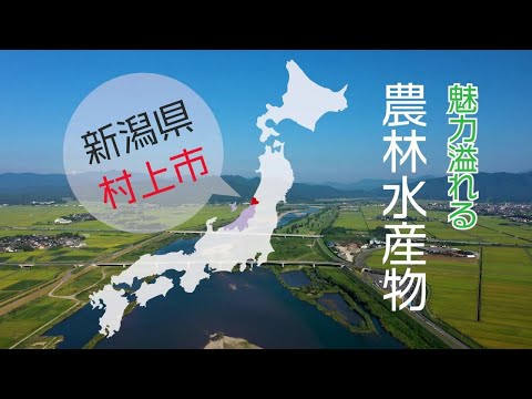 Vídeo de relaciones públicas de productos agrícolas, forestales y pesqueros de la ciudad de Murakami, prefectura de Niigata