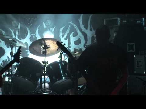 Toxocara - Live Performance Footage 