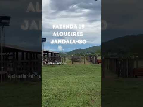 (62)9-8305-7960 - Fazenda 19 alqueires, Jandaia-Go