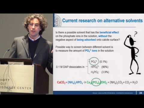 Enrico Sassoni, Gustavo Colonnetti Medalist 2017