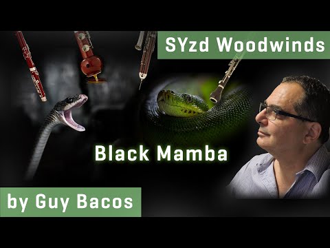 NEW: **Studio Series** VSL SYNCHRON-ized Woodwinds: Black Mamba, Screencast by Guy Bacos