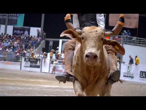 Teaser Campeonato Nacional Charro 2023 versión Jineteo de Toro