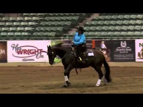 The Big Day ridden by Amy M. Lund - 2014 Snaffle Bit Futurity (NP Bridle)-SD