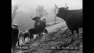 Cornish Valley (1944)
