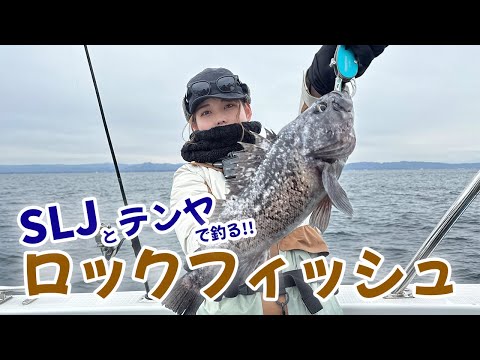 取材動画サムネイル 11