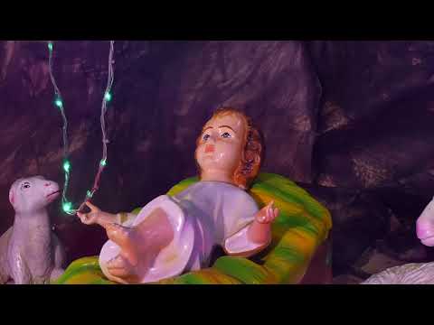 தூய செங்கோல் அன்னை திருத்தலம் காரங்காடு கிறிஸ்மஸ் கீதங்கள்