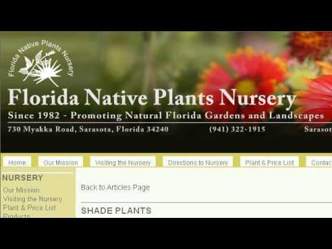 download lagu mp3 mp4 Pink Flower Bush Florida, download lagu Pink Flower Bush Florida gratis, unduh video klip Pink Flower Bush Florida
