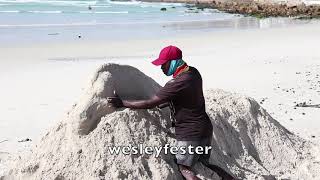 Man builds sand horse sculpture on deserted Muizenberg Beach