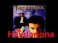 deli yürek haydarina 