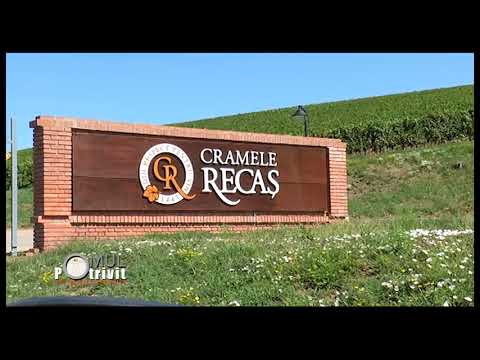 Omul potrivit la locul potrivit - RECAS