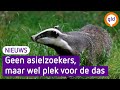 Das dwarsboomt opvang voor driehonderd vluchtelingen in Ermelo