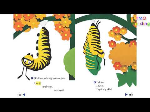 "I'm a Caterpillar" story Grade 1