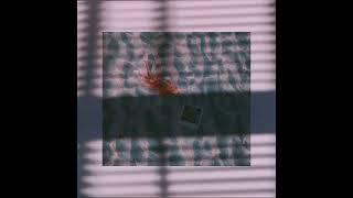 Dried Fishes Music Video