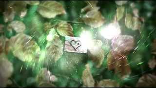 Two Down | Heartshot [Cassette]