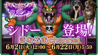 【ドラクエ10】Lv305 ハルカちゃんのプチ実績