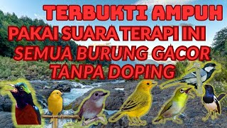 Download lagu SUARA TERAPI AIR UNTUK PANCINGAN SEMUA JENIS BURUNG GAK PERLU DOPING DIJAMIN GACOR DORRR 100% mp3 Download lagu SUARA TERAPI AIR UNTUK PANCINGAN SEMUA JENIS BURUNG GAK PERLU DOPING DIJAMIN GACOR DORRR 100% mp3