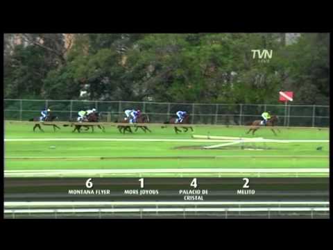 2011 Queen of the Turf- More Joyous