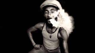 Lee Scratch Perry - Medusa