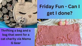 Friday fun - will I get it done? Plus a great thrift find and a bag bought for charity