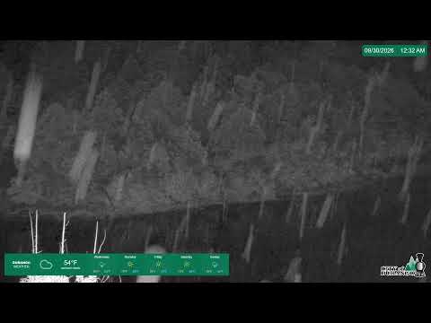 Camera Offline