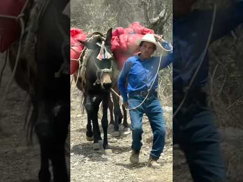 La pajonada,Cuilco Huehuetenango