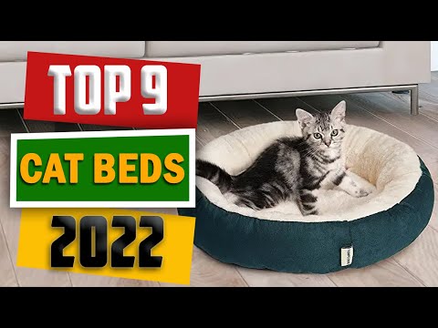 9 Best Cat Beds 2022 [ Top 9 Picks ]
