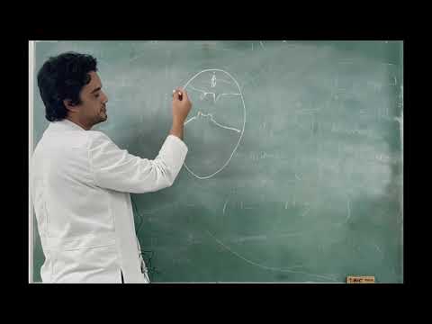 Agujeros de la base del cráneo 1