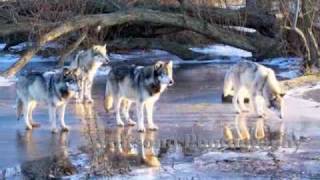 Statler Brothers-There&#39;s A Man In Here