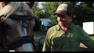 Heart, Horses and an Organic Family Farm!