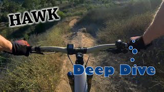 Santiago Oaks - Deep Dive - Hawk