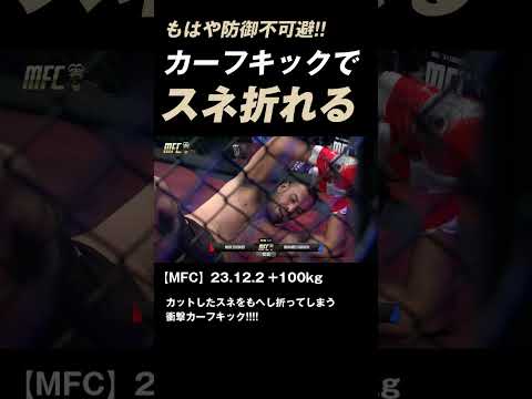 カーフキックでスネ受けした骨をもへし折ってしまう衝撃試合　#K-1 #RISE #GLORY #ONE #キックボクシング