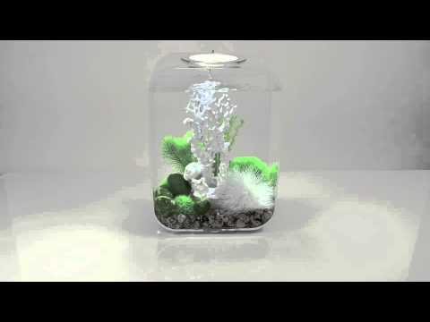 Watch Video on YouTube