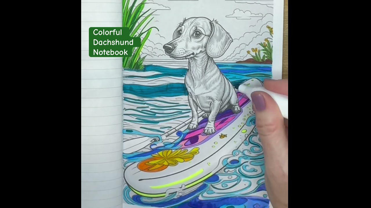 Paddle board #shorts #coloringbook #colortherapyart #sensory #viral #dachshund