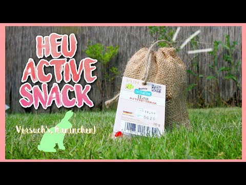 BUNNY ACTIVE-SNACK im TEST 🐇🔍 #versuchsKaninchen // Meine Mümmler