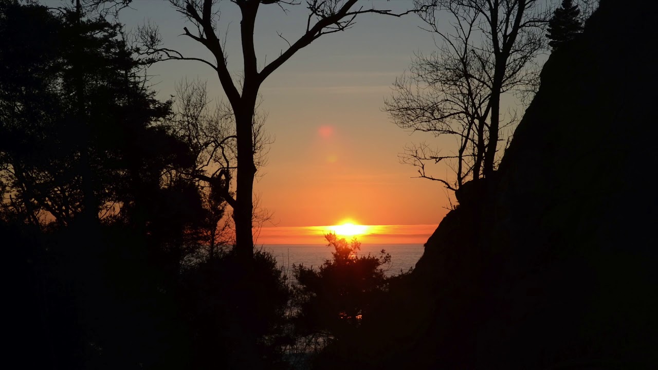 Mindfulness meditations by Terri Allen