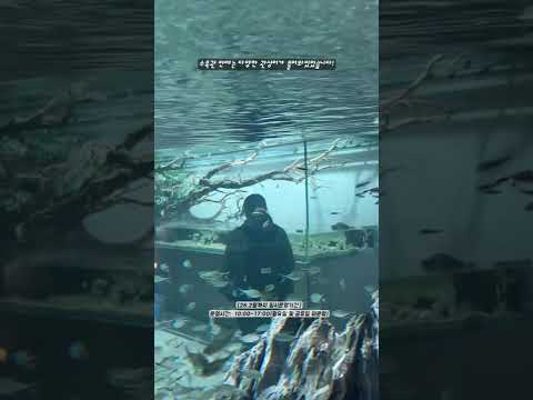 내수면관상어비즈니스센터 현장스케치