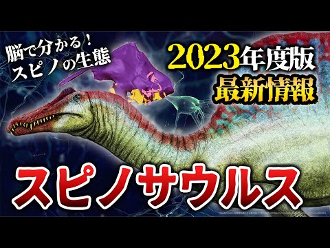 スピノマンティス・グイベイについて詳しく解説