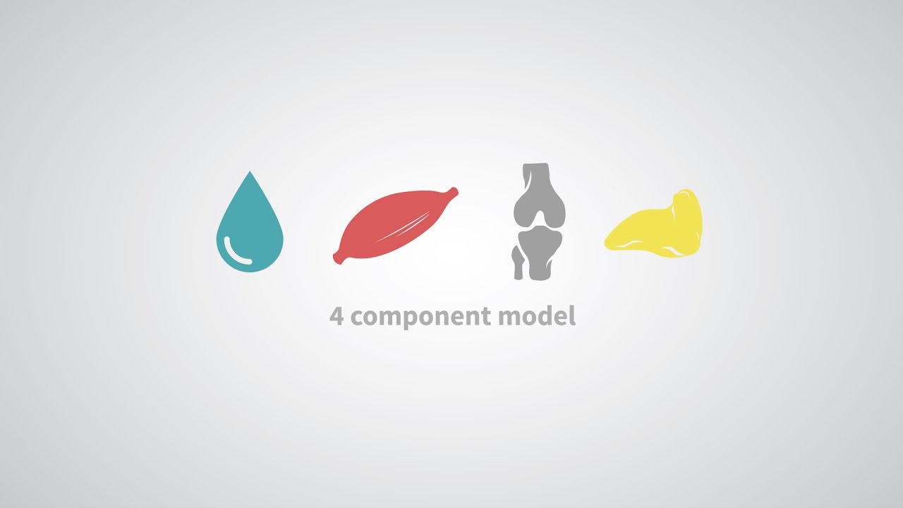 Ingrid Soledad Standen Silva-6