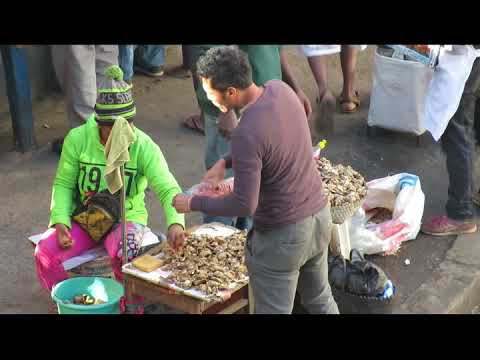 Eating oysters along the street  On Madagascar