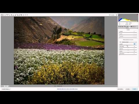 Cómo pasar una imagen jpg a raw | Tutoriales informática