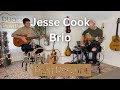 Jesse Cook - Brio (Guitar Cover by Duo Post Prelude)